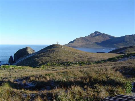 Paisaje del Parque Nacional Cabo de Hornos, mostrando la flora y el terreno