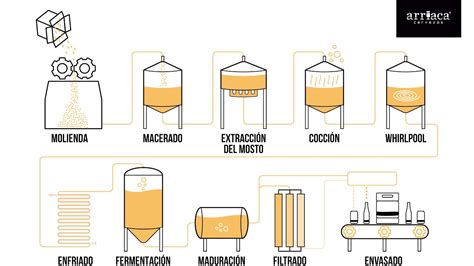 Diagrama del proceso de elaboración de cerveza, mostrando las etapas de malteado, maceración, hervido, fermentación, maduración y envasado.