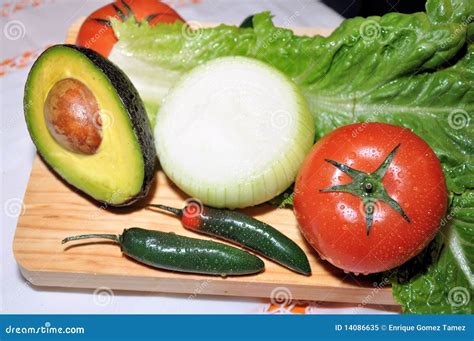 Ilustración detallada de los vegetales frescos listos para ser preparados: lechuga, tomates y cebolla.