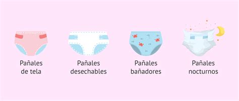 Infografía comparativa de diferentes tipos de pañales y ropa interior para adultos, destacando características como absorción, reutilización y ajuste.