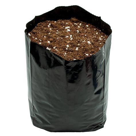 Ilustración de bolsas de cultivo de Pleurotus.
