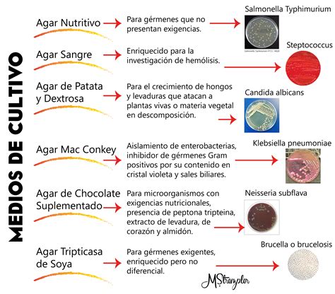 Tabla comparativa de los métodos de cultivo de hongos.