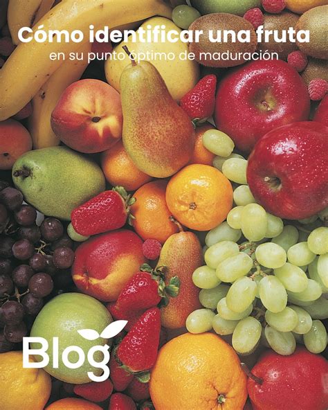 Infografía sobre cómo identificar el punto de maduración de frutas comunes como el kiwi, la sandía y el melón.