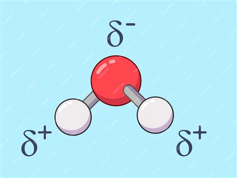 Diagrama de una molécula de agua mostrando sus cargas parciales positivas y negativas.