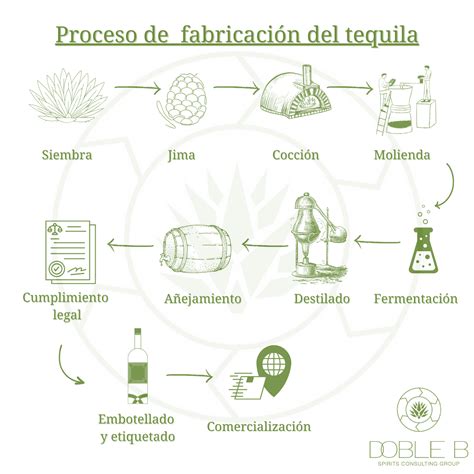 Esquema del proceso de elaboración del merkén: desde la recolección del ají cacho de cabra verde, su maduración, secado al sol, ahumado tradicional y molienda final.
