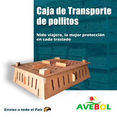 caja de transporte de pollitos con ventilación adecuada
