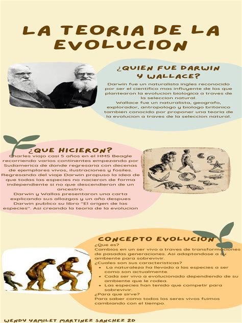 Infografía que muestra la evolución histórica de la empanada desde el pan relleno medieval hasta las variedades latinoamericanas actuales