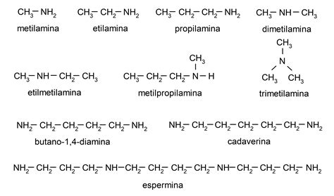 Esquema bioquímico que muestra la formación de agentes cancerígenos (nitrosaminas, aminas heterocíclicas y HAP) durante el procesamiento de la carne.