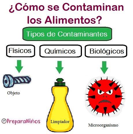 Infografía detallando los diferentes tipos de contaminantes químicos en alimentos procesados y sus fuentes.