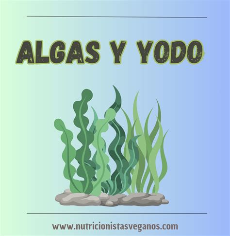 Esquema de precaución sobre el consumo de algas