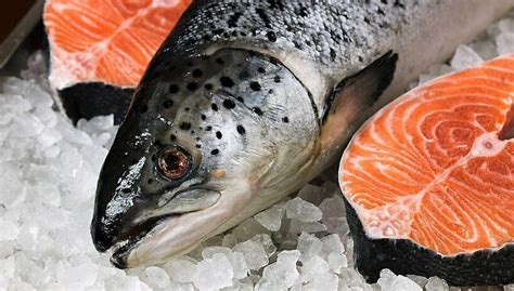 Infografía de los principales mercados de exportación del salmón chileno.