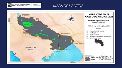 Mapa esquemático de las zonas de veda permanente para la protección de juveniles de merluza en el Mar Argentino y aguas regionales.