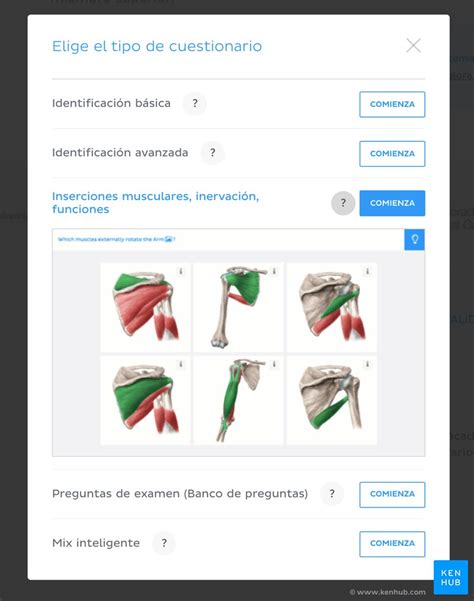 Esquema de un estudiante utilizando una plataforma de cuestionarios interactivos de anatomía