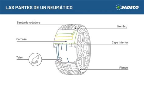 Infografía detallando las partes internas de una rueda de coche y dónde actúan los tapones para protegerlas.