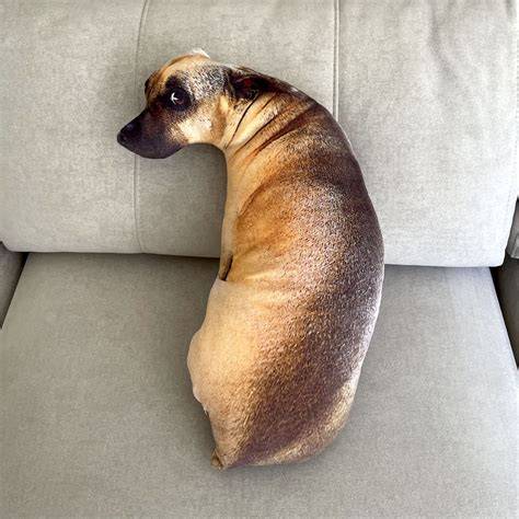 Perro montando un cojín o pierna de forma sexual