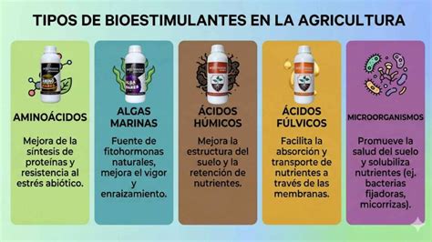 Infografía sobre el uso de bioestimulantes y formulaciones lipídicas para la protección contra heladas.