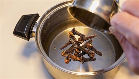 Berenjenas en almíbar con nueces y clavos de olor en una olla