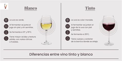 Esquema comparativo entre vinagre de vino tinto, blanco y de manzana mostrando origen y notas de sabor