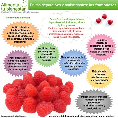 infografía sobre los nutrientes principales de la frambuesa: vitamina C, fibra y antioxidantes