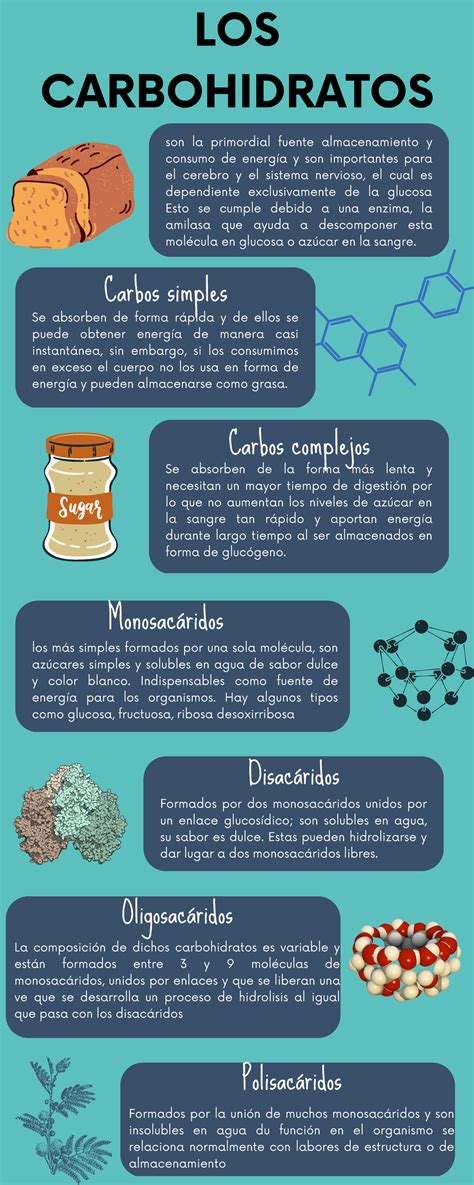 Infografía que muestra la transformación de los carbohidratos de la pasta en glucógeno almacenado en los músculos.