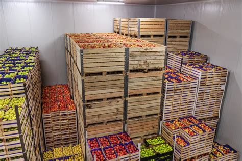Contenedores con productos hortofrutícolas listos para exportación