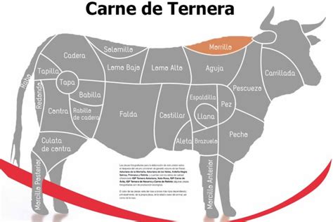 Esquema anatómico de la media canal de ternera señalando la zona de la aguja cerca del cuello y la espalda.