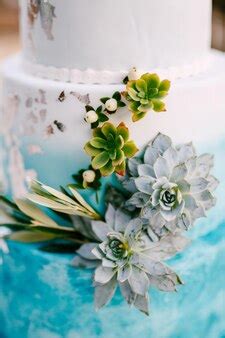 Pastel decorado con suculentas comestibles o inspirado en una obra de arte
