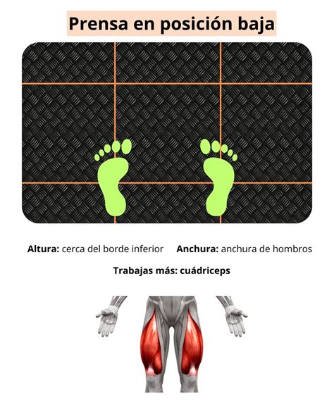 Ilustración de cómo colocar la masa en la prensa con forros