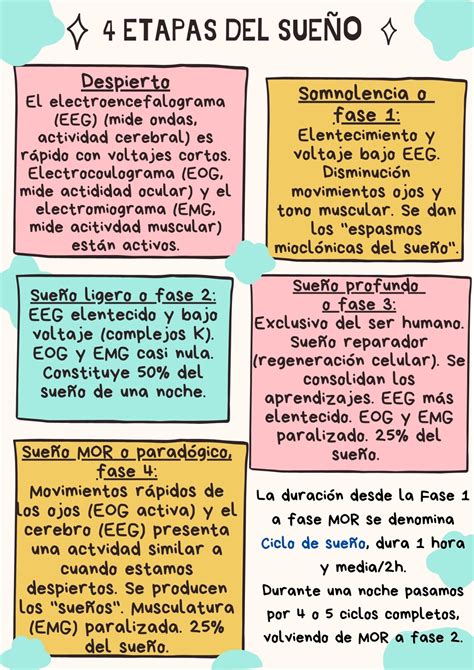 Esquema comparativo entre desmayo, sueño y coma