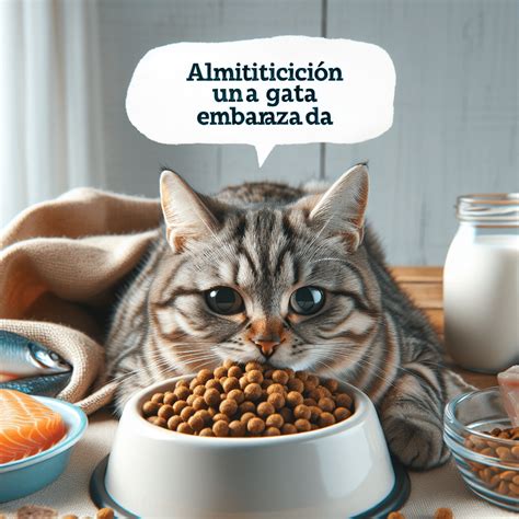 Cuenco de comida de alta calidad para gatitos y gatas gestantes, con una gata comiendo