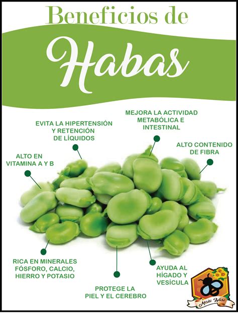 Infografía sobre el valor nutricional de las habas y sus beneficios