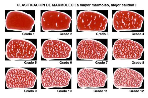 Esquema visual que explica el grado de marmoleo en la carne Wagyu comparado con cortes convencionales