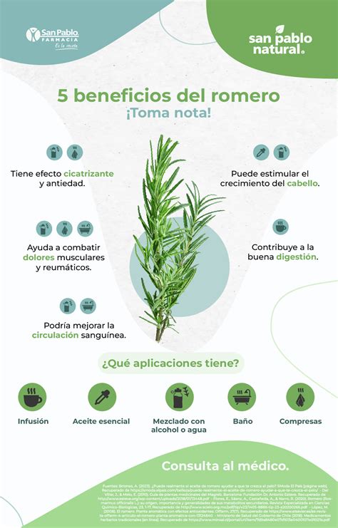 Infografía mostrando los beneficios del romero para el cabello: crecimiento, anticaída, brillo, control de grasa.