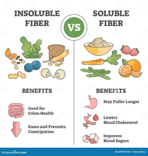 Esquema comparativo entre los beneficios de la fibra soluble e insoluble en el proceso digestivo
