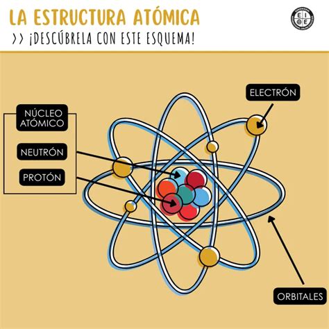 Esquema de la estructura de las cáscaras fósiles de Bauruoolithus fragilis comparadas con cocodrilos modernos.