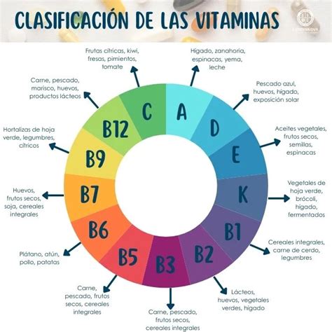 Esquema de las vitaminas y minerales presentes en los pétalos de rosa