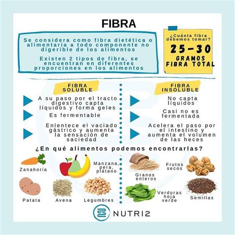 Infografía sobre los tipos de fibra y sus efectos en el organismo