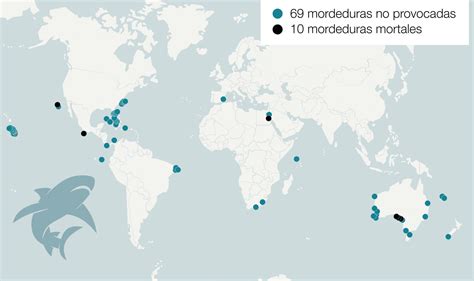 Gráfico mostrando la disminución de poblaciones de tiburones en las últimas décadas, relacionado con la demanda de aletas.