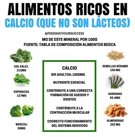 Tabla nutricional básica comparando el contenido de calcio en vegetales de hoja verde, legumbres y productos lácteos.