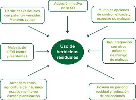 Esquema de los diferentes tratamientos de herbicidas aplicados en el ensayo.