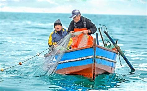 Foto de pescadores artesanales chilenos como alternativa al Pangasius