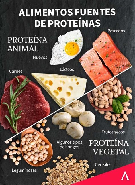 Composición visual de diferentes fuentes de proteína para ensaladas: pollo a la plancha, salmón ahumado, huevo duro, garbanzos, queso feta.