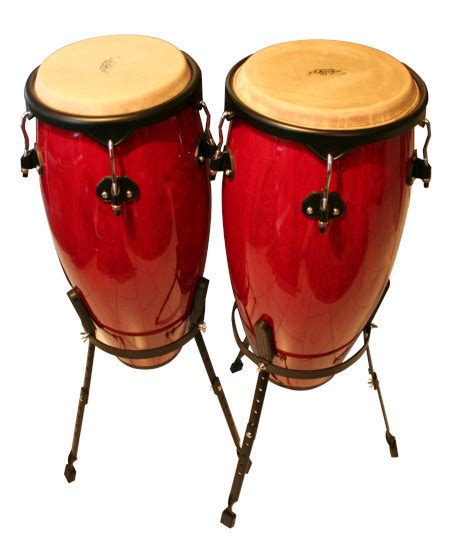 Instrumentación de salsa, con énfasis en las congas y otros instrumentos de percusión.