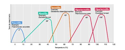 Gráfico mostrando la relación entre temperatura y crecimiento bacteriano en alimentos