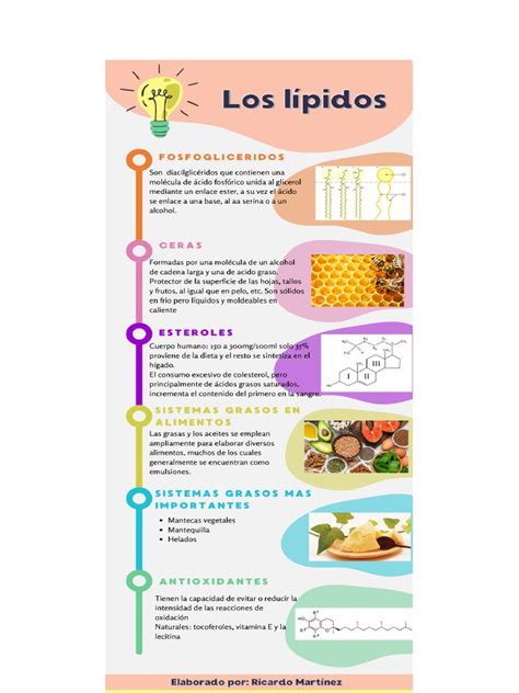 Infografía sobre los componentes nutricionales de la soya: proteínas, lípidos, isoflavonas y aminoácidos