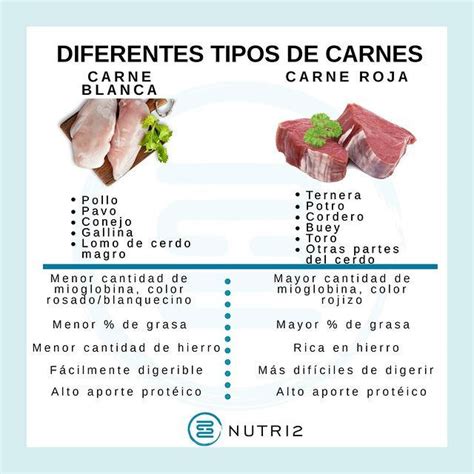 Esquema comparativo entre carne blanca y carne roja: niveles de hierro, grasa y perfil nutricional.