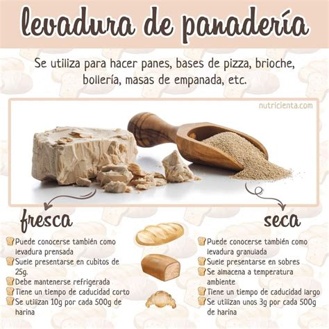 Infografía explicando la diferencia entre matzá y pan con levadura, destacando el tiempo de fermentación.