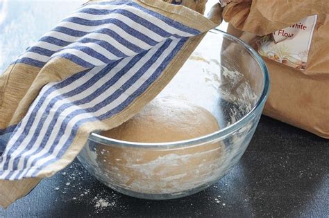 Masa de pizza en reposo dentro de un recipiente