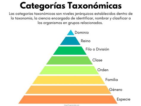 Esquema que muestra las diferencias taxonómicas y nombres comunes del pez mantequilla (Stromateidae), el escolar (Gempylidae) y el bacalao negro (Anoplopomatidae), aclarando la confusión terminológica.