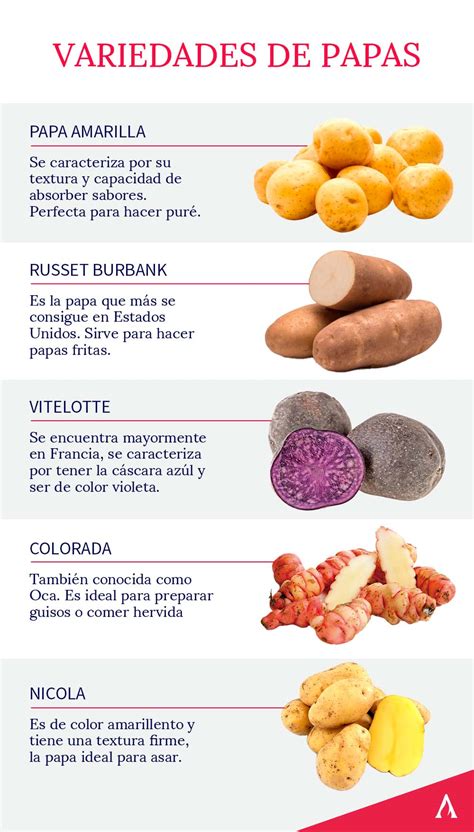 Infografía sobre los tipos de papas y sus usos en ensaladas